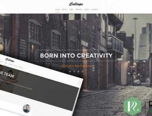 Calliope v1.0.8 – 投资组合和代理商WordPress主题