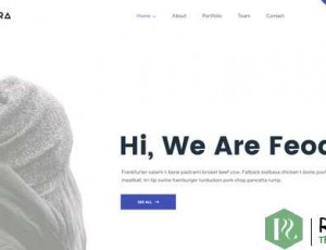 Feodora v1.0 – 创意WordPress主题