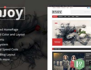 enjoy v1.2 – WordPress杂志和博客主题