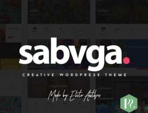 Sabvga v1.1 – 现代与创意组合WordPress主题