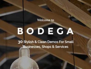 Bodega v2.6.1 – 适合小型企业WordPress主题