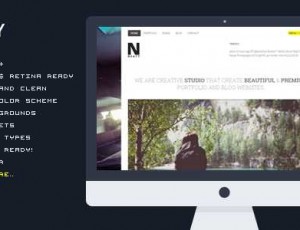 Neaty v1.0.1 – 响应式投资组合WordPress主题