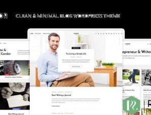 Candor v1.1.4 – 响应式WordPress博客主题