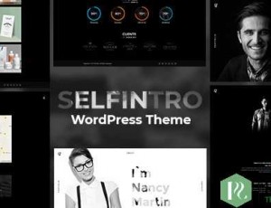 Selfintro v1.0.3 – 简历和作品集WordPress主题
