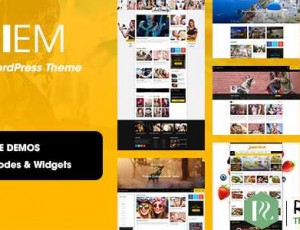 Viem v1.0.6 – 视频WordPress主题