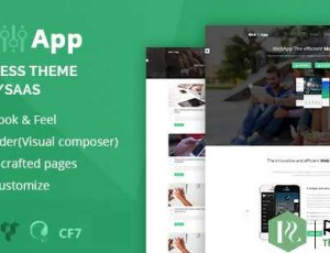 Webapp v1.2 – 应用程序 – Saas WordPress主题