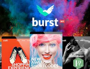Burst v3.2 – 一个大胆而充满活力WordPress主题