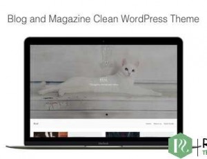Real v1.0.7 – 博客和杂志清洁WordPress主题