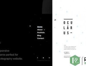 Ocularus v1.4 – 最小摄影WordPress主题