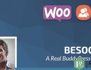 Besocial v3.7 – BuddyPress社交网络和社区