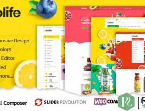 Biolife v1.0.5 – 有机食品WordPress主题