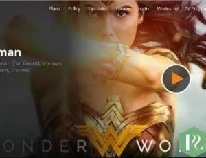 NetFlix Clone WordPress电影主题