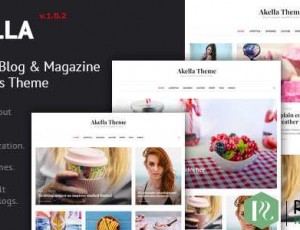 Akella v1.0.2 – 个人博客和杂志WordPress主题