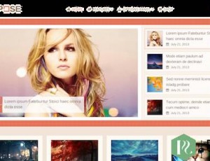 Repose v1.3.0 – WP主题