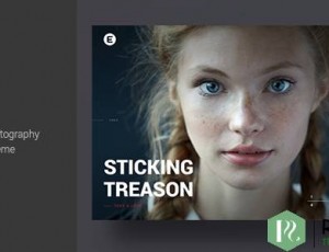 Emily Nolan v1.4.0 – 创意摄影作品集主题