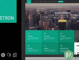 Forstron v1.9.4 – 法律商业WordPress主题