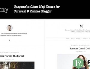 Minimy v1.2.0 – 响应清洁个人和时尚博客WordPress主题