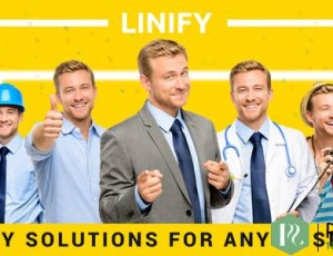 Linify v1.3.6 – 单人商务WordPress主题