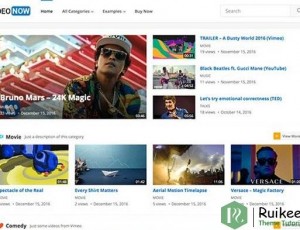 VideoNow v1.9 – WordPress视频主题