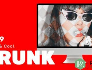 Krunk v3.1- 勇敢酷炫的WordPress博客主题