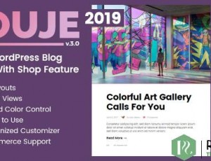 Souje v5.0 – 个人WordPress博客主题