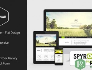 Vernum v3.0 – 响应OnePage视差主题
