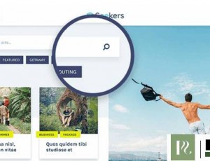 Seekers v1.0.4 – WordPress主题