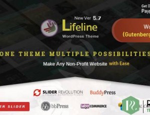 Lifeline v6.0 – 非政府组织慈善基金筹集WordPress主题