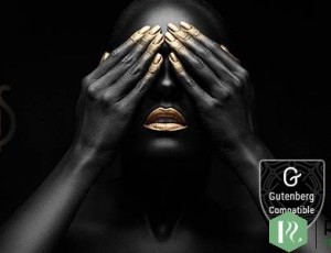 FullScreen Artist v1.5 – 摄影主题