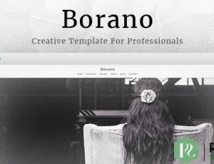 BORANO V4.6 – 摄影/组合WORDPRESS主题