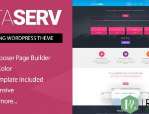 DATASERV V1.0.7 – 专业托管WORDPRESS主题