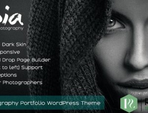Sepia v1.9 – 摄影组合WordPress主题