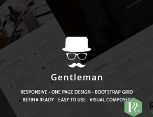 gentleman V1.4.3 -WORDPRESS主题