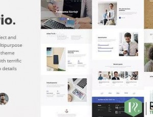 MARIO V1.0.6 – 创意多用途WORDPRESS主题