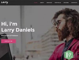 Larry v1.0.1 – 个人Onepage WordPress主题