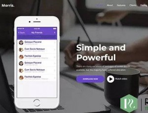 MORRIS V1.0.3 – WORDPRESS应用程序和产品登陆页面