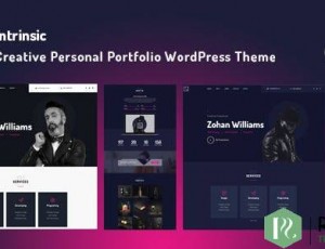Intrinsic v1.0.2 – 创意个人作品集WordPress主题