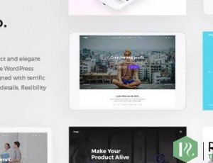 virgo v1.1.0 – 多用途多概念WordPress主题
