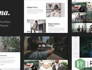 Selena v1.0.3 – 多功能WordPress主题