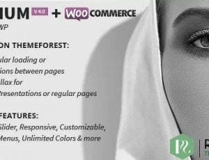 MINIMUM v4.0.2 – 专业的WordPress主题