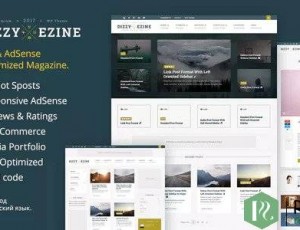 DizzyMag v1.0.10 – 广告和评论WordPress杂志主题
