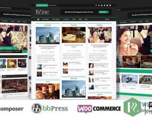 Bzine v2.0 – WordPress 杂志新闻主题