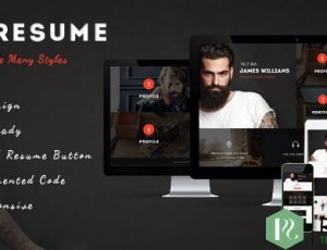 Morgan v1.3 -简历，简介和投资组合WP主题