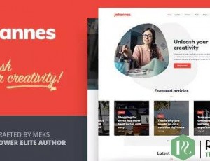 Johannes v1.3.3 – 多概念个人博客和杂志WordPress主题