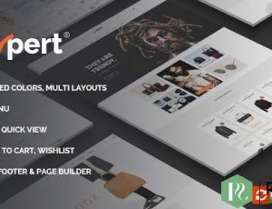expert v1.2 – 清洁电子商务WordPress主题