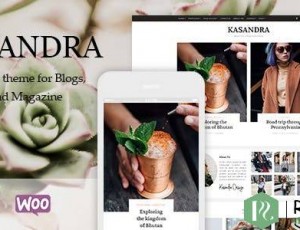 Kasandra v1.0.0 – 响应式博客和商店WordPress主题