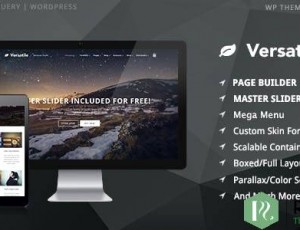 Versatile v1.3.2 – 响应式多功能WP主题
