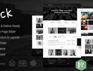 Black v1.5-高级多用途WordPress主题