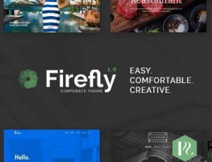 Firefly v1.1 – 响应式多用途WordPress主题
