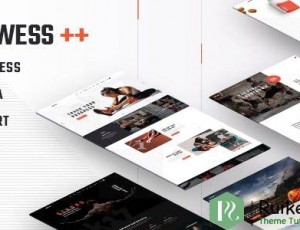Prowess v2.0 – 健身和健身房WordPress主题